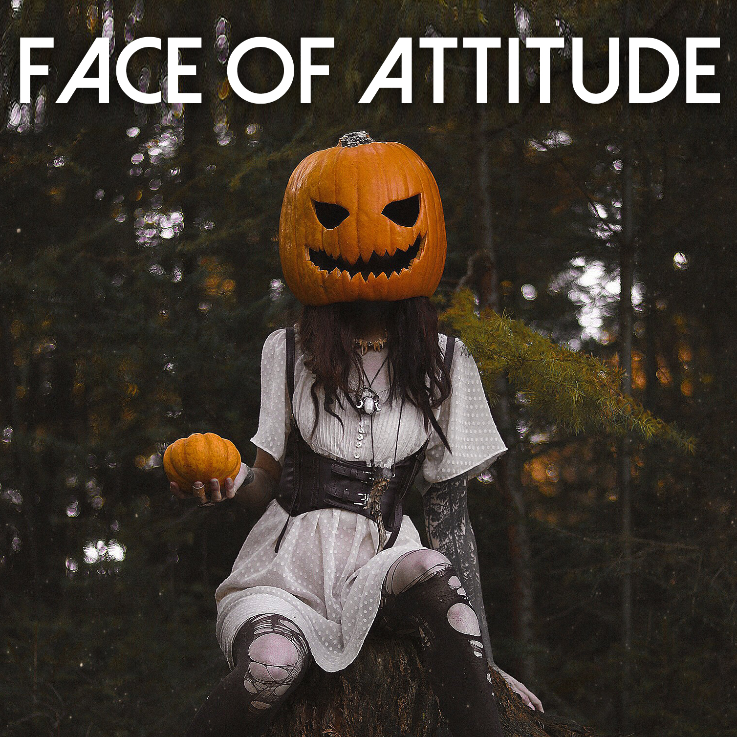 Face of Attitude