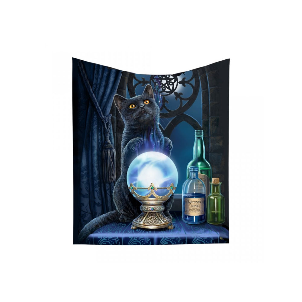 Nemesis Now The Witches Apprentice Cat With Glass Sphere